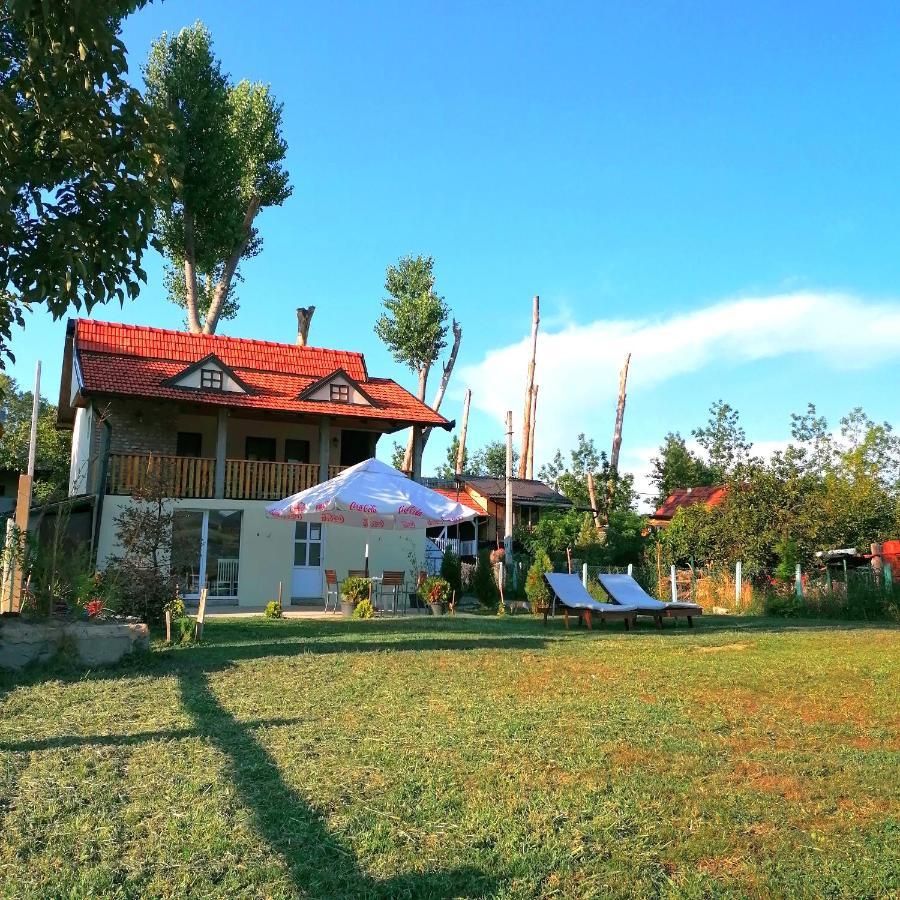 Captain'S House By The Danube River Cerevic Exterior photo